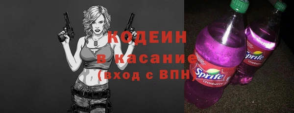 индика Куйбышев