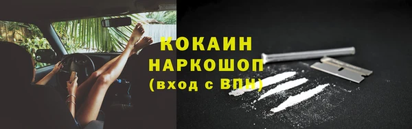 тгк Ладушкин