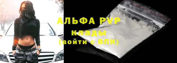 индика Вуктыл