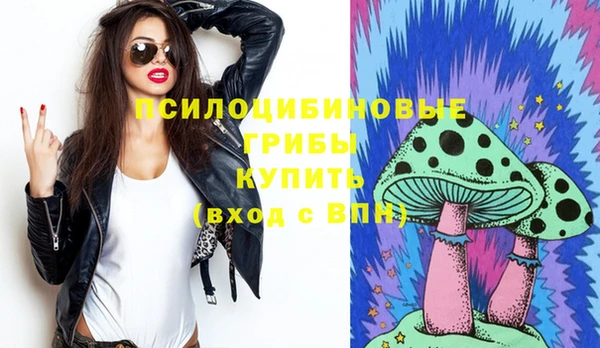 индика Куйбышев