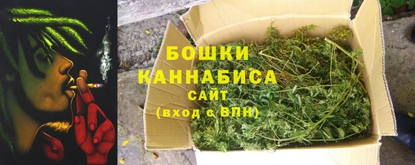 тгк Ладушкин