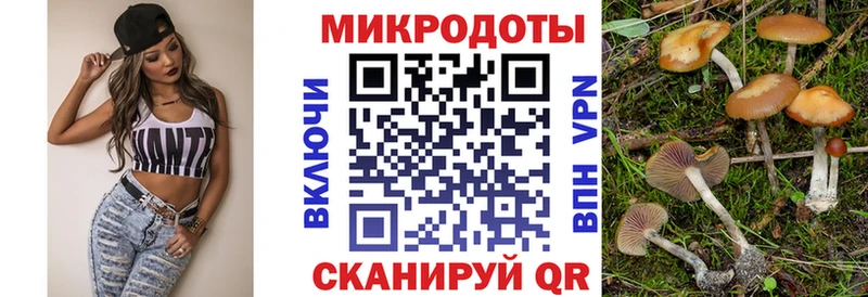Галлюциногенные грибы GOLDEN TEACHER Лахденпохья