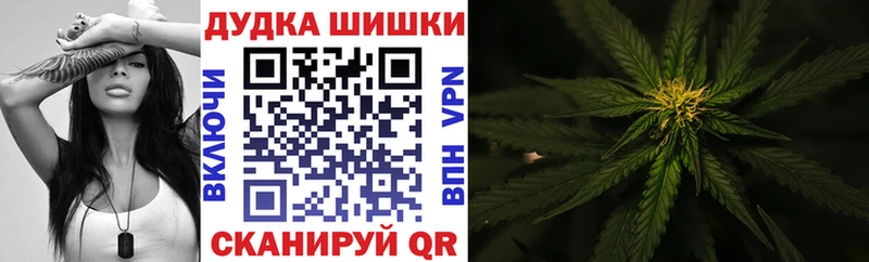 МАРИХУАНА планчик  Лахденпохья 